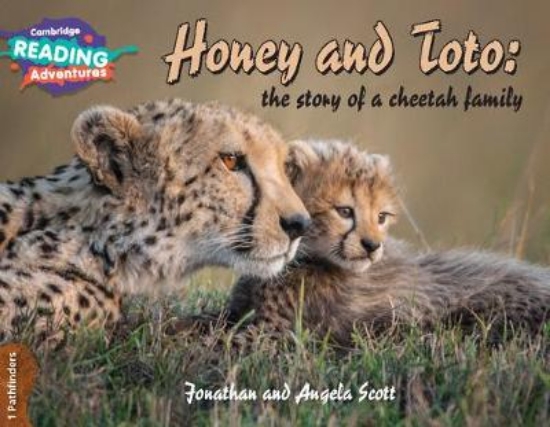 Picture of 1 Pathfinders Honey and Toto: the story of a cheet
