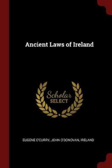 Picture of Ancient Laws of Ireland