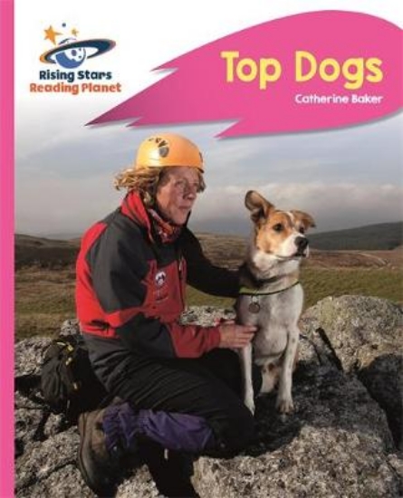 Picture of Top Dogs- Pink B