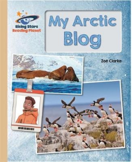 Picture of My Arctic Blog - Gold