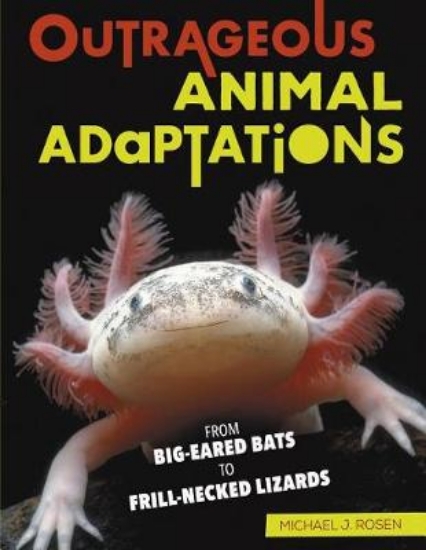 Picture of Outrageous Animal Adaptations