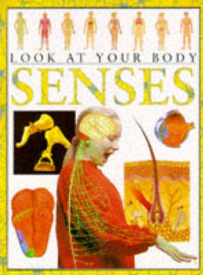 Picture of Senses