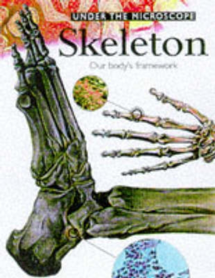Picture of Under the Microscope:Skeleton