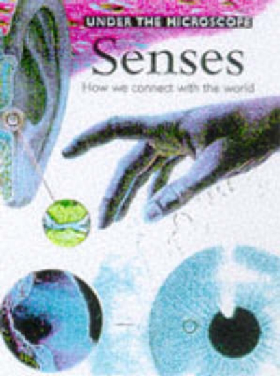 Picture of Under the Microscope:Senses