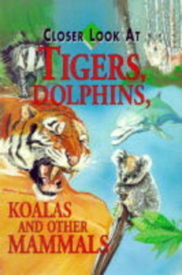 Picture of Tigers, Dolphins, Ko