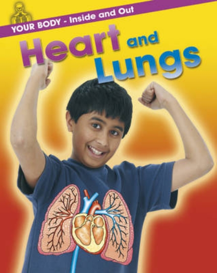 Picture of Your Body: Inside and Out: Heart and Lungs