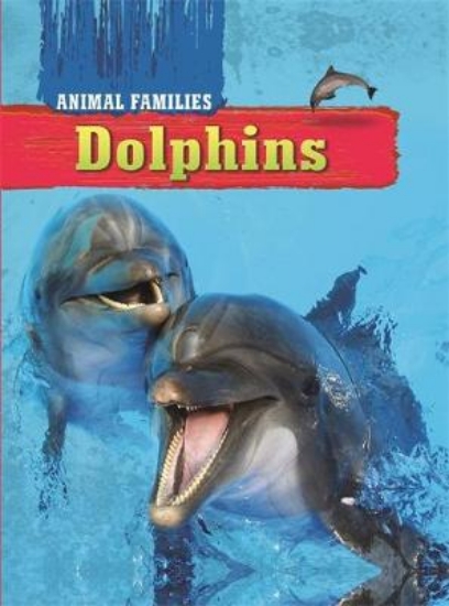 Picture of Animal Families: Dolphins