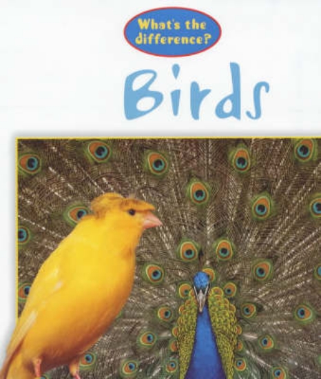 Picture of What's The Difference?: Birds
